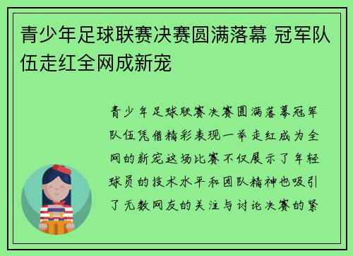 青少年足球联赛决赛圆满落幕 冠军队伍走红全网成新宠