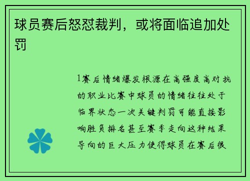 球员赛后怒怼裁判，或将面临追加处罚